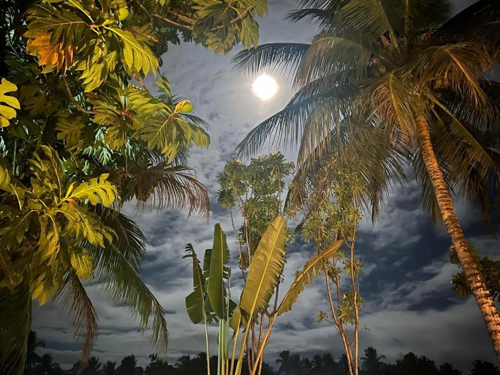 Pousada Vida Sol São Miguel dos Milagres Exterior foto